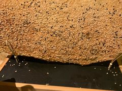 鞋底饼-弄堂里(西溪龙湖天街店)
