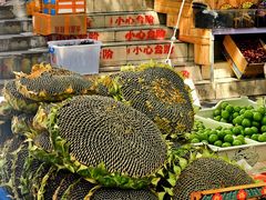 -马永华东乡手抓美食