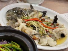 清蒸珍珠斑-君之悦酒家(容山路店)