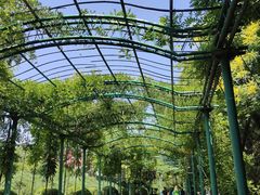 -石家庄市动物园