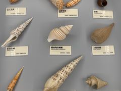 -天津古林古海岸遗迹博物馆