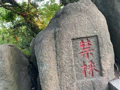 -灵岩山风景区