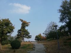 -莫子山公园