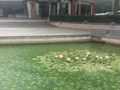 -水上明月·湖景餐厅