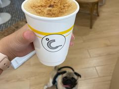 -COMPANION COFFEE小伴咖啡