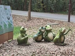 -同里国家湿地公园