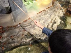 -正佳雨林生态植物园