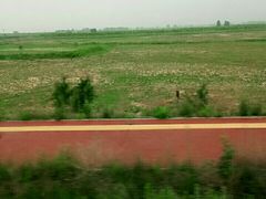 -明月麻辣香锅(昌黎县东大市场店)