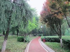 -月湖风景区
