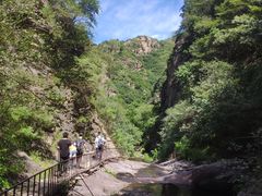 -云岫谷游猎自然风景区