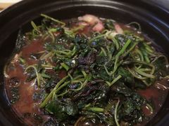 -芦苇荡·酸汤鱼(回龙观店)