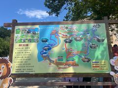 -西霞口神雕山野生动物世界