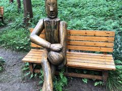 -黄海国家森林公园