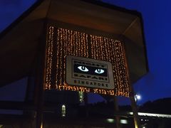 -夜间野生动物园