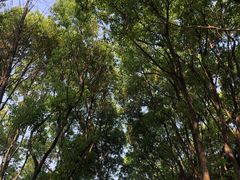 -同里国家湿地公园