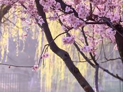 -堤角公园