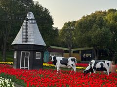 -大宁公园
