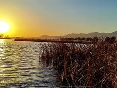 -野鸭湖国家湿地公园