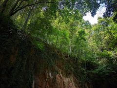 -上海佘山国家森林公园西佘山园