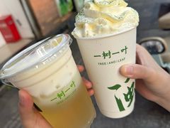 -一树一叶·福建茶档(石鼓路店)
