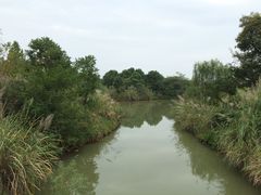 -梁鸿国家湿地公园