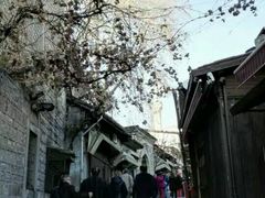 -萨夫兰博卢