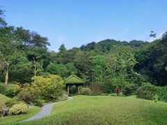 -云溪植物园