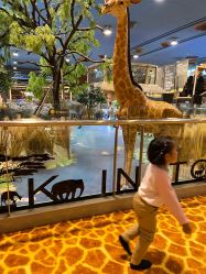 -卡通尼·Safari非洲探索乐园·生日会(金桥国际商业广场店)