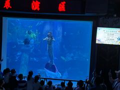 -太平洋海底世界