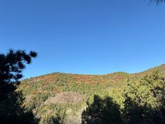 -北京十三陵国家森林公园蟒山景区