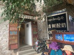 -古树酸奶(八廓南街店)