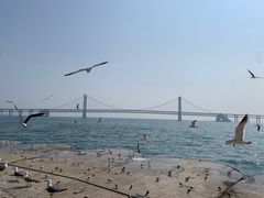 -星海广场