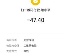 -秦氏环球炸鸡(解放北路店)