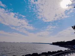 -上海吴淞炮台湾国家湿地公园