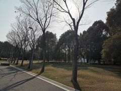-尚贤河湿地