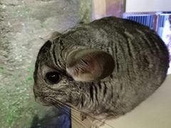 -正佳极地海洋世界