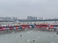 -蠡湖大桥公园