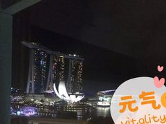 -新加坡文华东方酒店