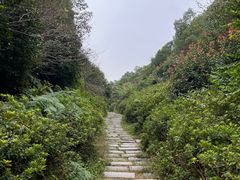 -桃花岭景区