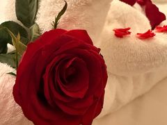 -珠海中海雅高铂尔曼酒店