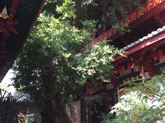 -叩齿古寺