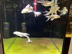 -宠物世家(仲盛世界商城店)