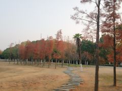 -梁鸿国家湿地公园