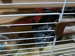 -龙猫仔乐园(惠福东路店)