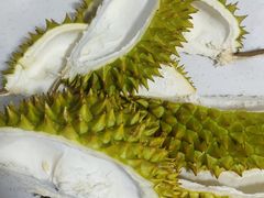 -昆山招商花园城