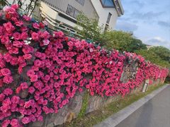 -嘉兴清池酒店温泉