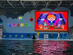 -蓬莱欧乐堡海洋极地世界