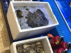 水产区-金龙·打边炉(武进路店)
