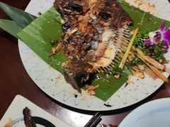 -紫滇源云南生态菜(丹凤街店)