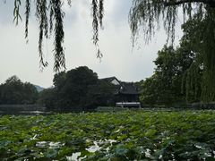 -西湖游船